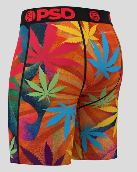 I SEE HUE MULTI XS / MULTI