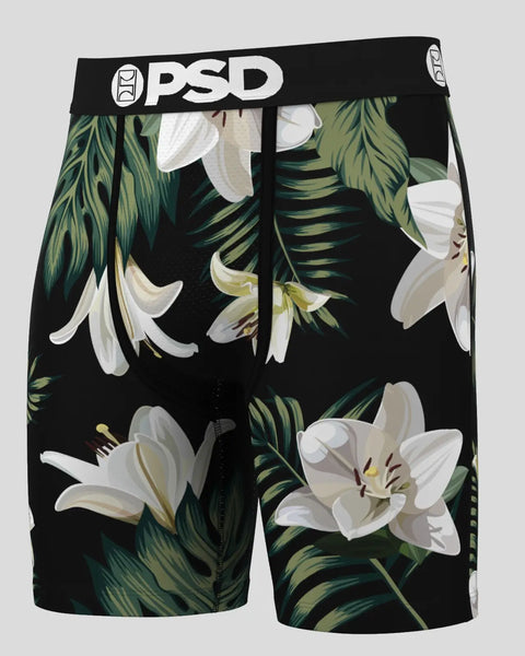 3 Pack - The Tropics