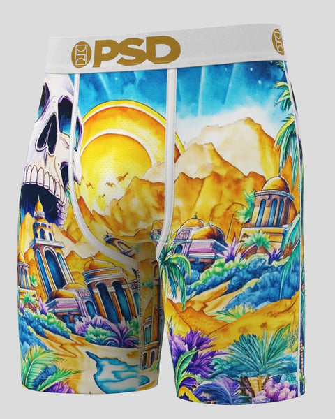 CASA DE PSD MULTI XS / MULTI